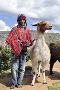 Junge aus Cusco mit Lamas