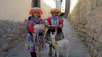 Zwei Frauen in Cusco mit Schaf und Alpaka