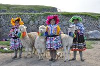 Drei Frauen aus Cusco mit Alpakas