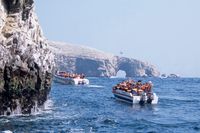 Bootsfahrt zu den Ballestas-Inseln