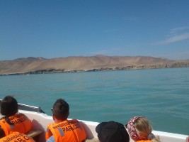 Bootsfahrt zu den Ballestas-Inseln